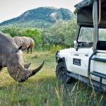 Camp luxury safari african lodges africa top safaris pools mana go2africa trip accommodation