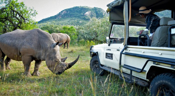 Camp luxury safari african lodges africa top safaris pools mana go2africa trip accommodation